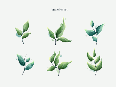 Branches set branding illustration leaf leaves vectro watercolor