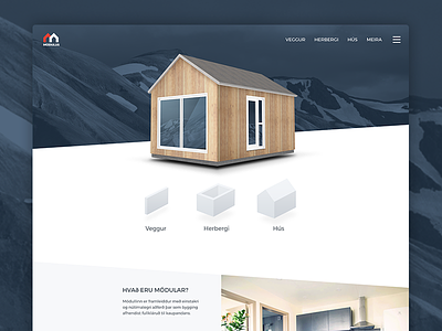 Web design for Modulus homes minimalistic simple ui ux web design web site service