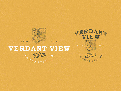 VV pt.3 barzaly classic logo vintage