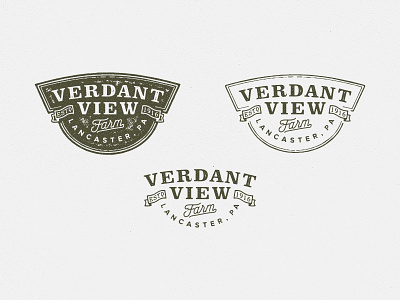VV Badge barzaly classic logo vintage