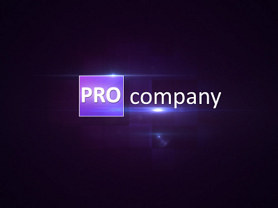 Pro Company