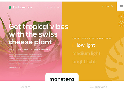 Bellsprouts Landing Page - Low Light Plants
