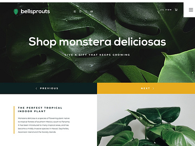 Bellsprouts Detail Page - Low Light Internal Page design desktop digital art digital design illustration interface interface design landing page logo design plant plant based plant logo plant website ui ui ux user experience user interface ux web design website