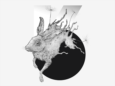 Hare Dandelion animal black and white collaboration drawing hare illustration