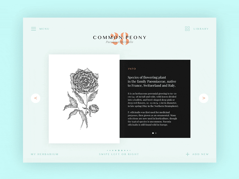 Herbarium app flower gif illustration interaction ipad layout nature typography ui ux