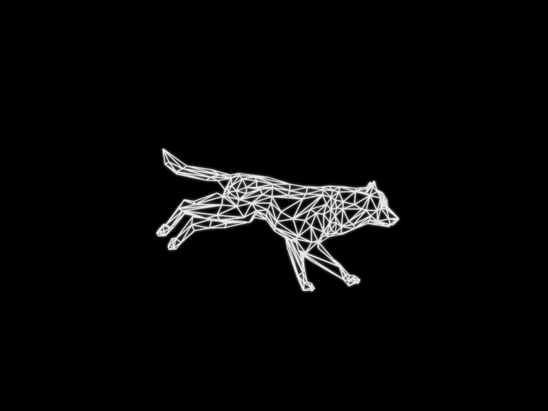 Low Poly Wolf animal animation black dog gif low lowpoly motion design poly run cycle white wolf