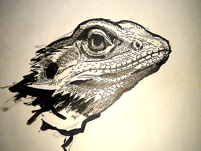 Dragon black illustration ink white