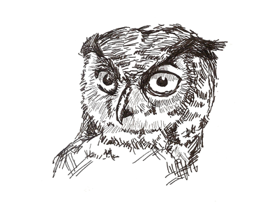 Owl hand ink owl sketch