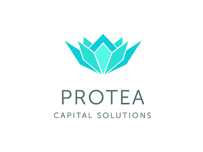 Protea Capital brand identity logo