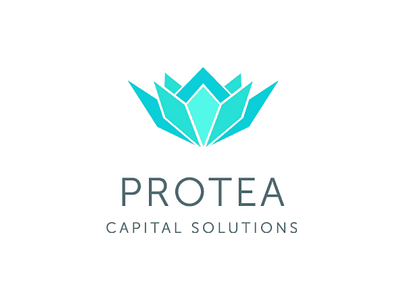 Protea Capital