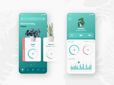 Pocket Jungle : Indoor Plant Companion App