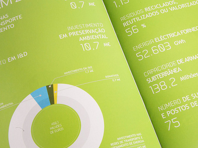 Dribble Renbrocura 2012 book brochure energy green infographics numbers ren sustainability type