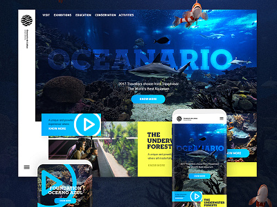 Lisbon Aquarium art direction design digital mobile product webdesign website