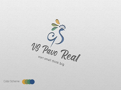 Peacock Logo Concept kaliraj logo peacock logo text logo vs logo vs pavo real logo vs pavo real logo vsmart