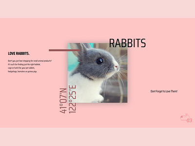 Lookbook design figma lookbook page rabbits sketch