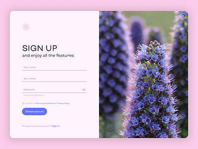 Sign up window 001 daily ui dailyui dailyuichallenge day1 flowers photography popup signup ui webdesign