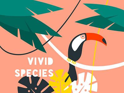 Tropical creature bird flat forest illustration pecan plants tropical vector