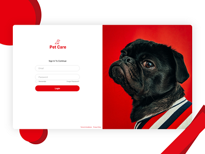 Pet care | website | Login | UI | Dog adobe adobe xd adobexd design illustration login logo pet care pets ui ui design uidesign ux vector web webdesign website