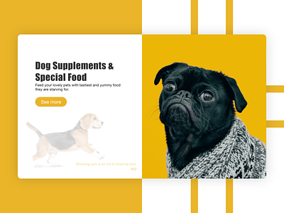 Pet Care | Dog | Animal | Pet | Web | Design