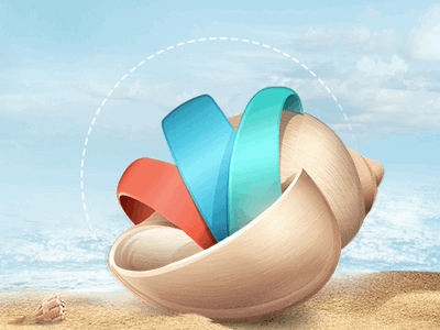 Shell Animation animation beach css css3 html icons shell web
