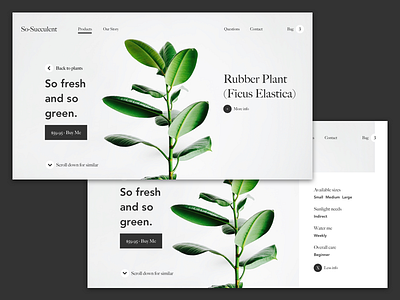 So-Succulent Landing Page landing page ui ux visual design web design