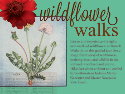 Wildflower Walk collage floral flowers photoshop poster typography