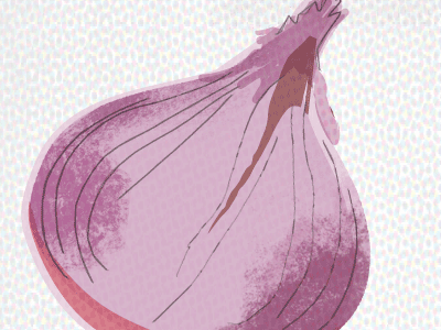 Red Onion illustration onion purple red texture vector wip work in progress