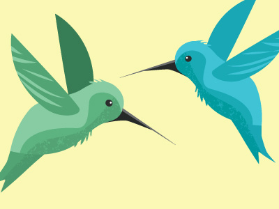 Hummingbirds bird hummingbird illustration vector