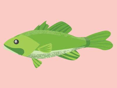 Backyard Fish bass fish illustration vector