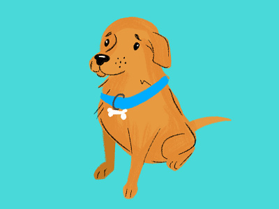 Good Boy! animal digital dog dog illustration doggy illustration labrador retriever photoshop texture wip