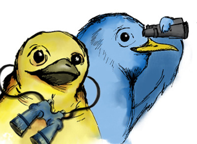 Bird Watching Birds birds blue illustration line drawing photoshop yellow