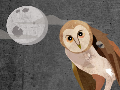 Moon & Owl illustration nature spooky texture vector