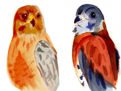 More Birds! birds digital illustration watercolor