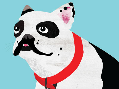 French Bulldog WIP dog illustration texture vector wip