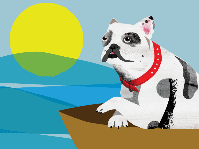 Pooch Paddle Illustration dog illustration texture vector wip