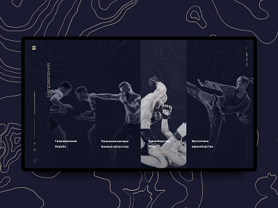 Martial Arts Association design minimal ui ux web website