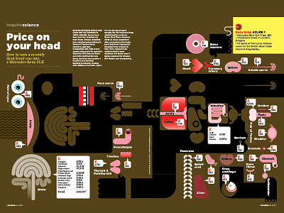 Price on your head for Esquire Magazine bodyparts diagrams graphicdesign illustration infographic magazine design vector
