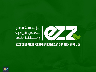 EZZ Foundation | Logo branding design dribbble ezz ezz green green logo greenhouse greenhouse logo illustration logo