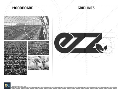 EZZ Foundation branding design dribbble ezz ezz foundation ezz foundation green greenhouse illustration logo mood board moodboard