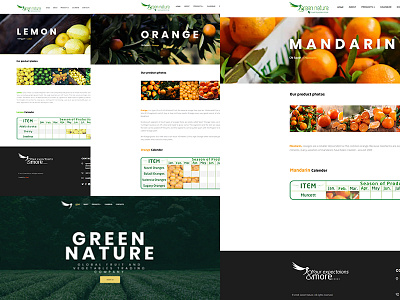 Green Nature | website design green green nature logo nature slides website