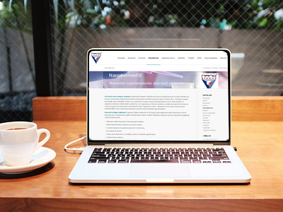 Nanobiomed website design draft webdesign website