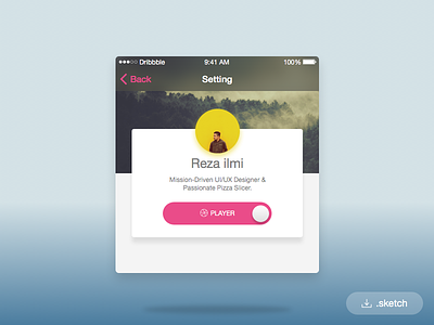 Hi Dribbble! - Setting Screen & Switch Button button debut indonesia ios profile setting switch switch button toggle toggle button