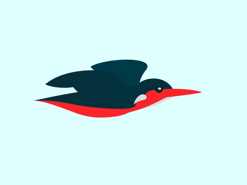 Kingfisher Flight by Jess Purviance on Dribbble