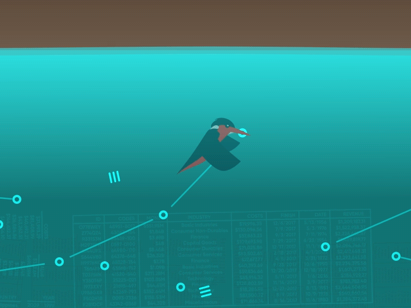 Kingfisher Data Dive animal animation bird dive feather king fisher kingfisher nature swim water