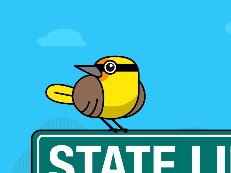 State Birds animal animation bird character design eastern bluebird illustration kansas city kc nature state line western meadowlark