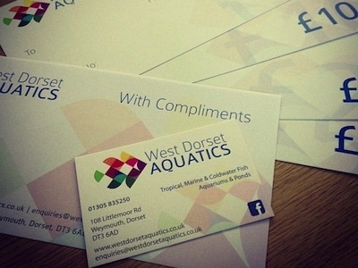 West Dorset Aquatics branding fish logo
