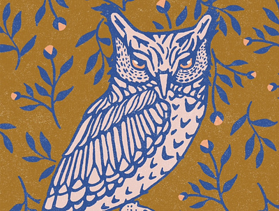 Owl animal illustration owl