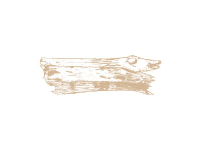 Cracked and weathered beach wood - Postfilm beach illustration vintage weathered wood