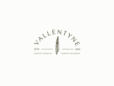 Vallentyne Branding Preview