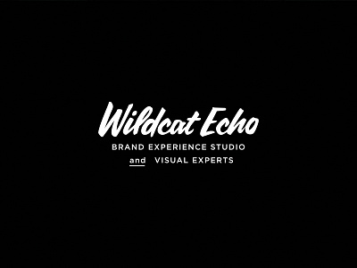 We changed our name! Wildcat Echo Announcement brand handlettered launch